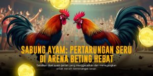 Mengenal Jenis Ayam Aduan Sabung Ayam SV388 Paling Populer